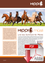 Leták HIPPI A3 + Sortiment krmiv pro koně - němčina